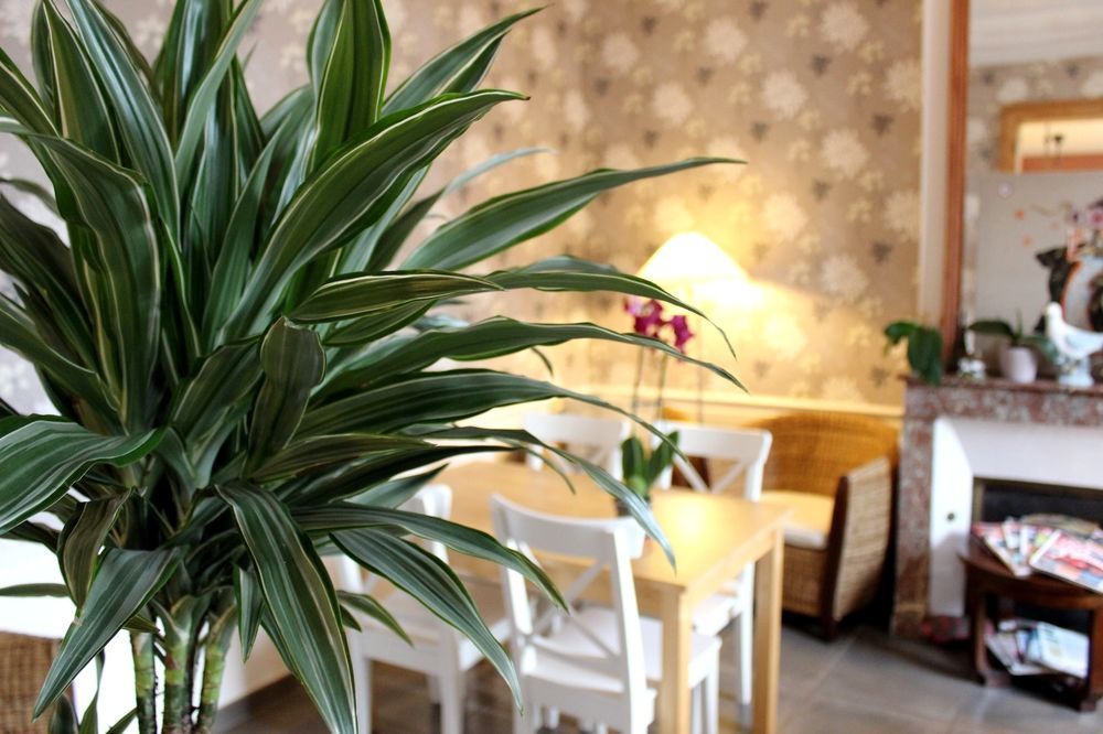 Illiers-Combray Hotel Les Aubepines מראה חיצוני תמונה